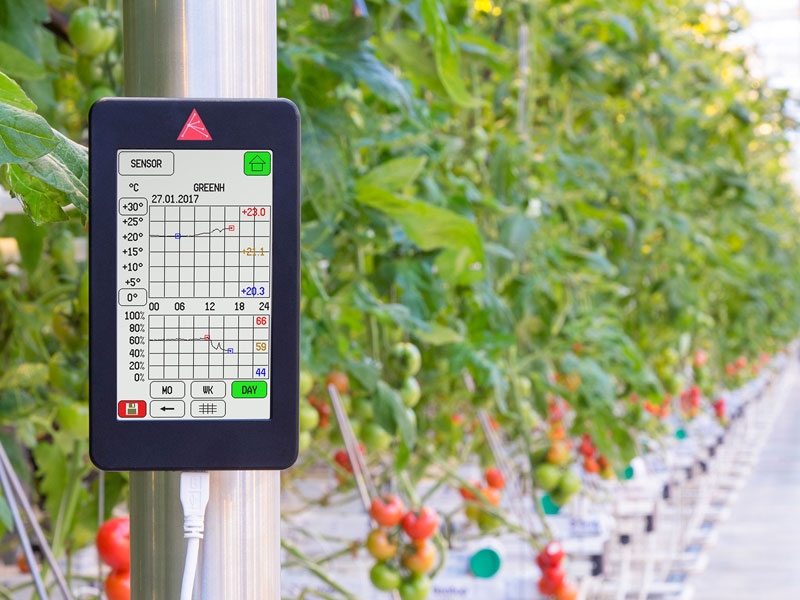 IoT-Agricoltura-protetta